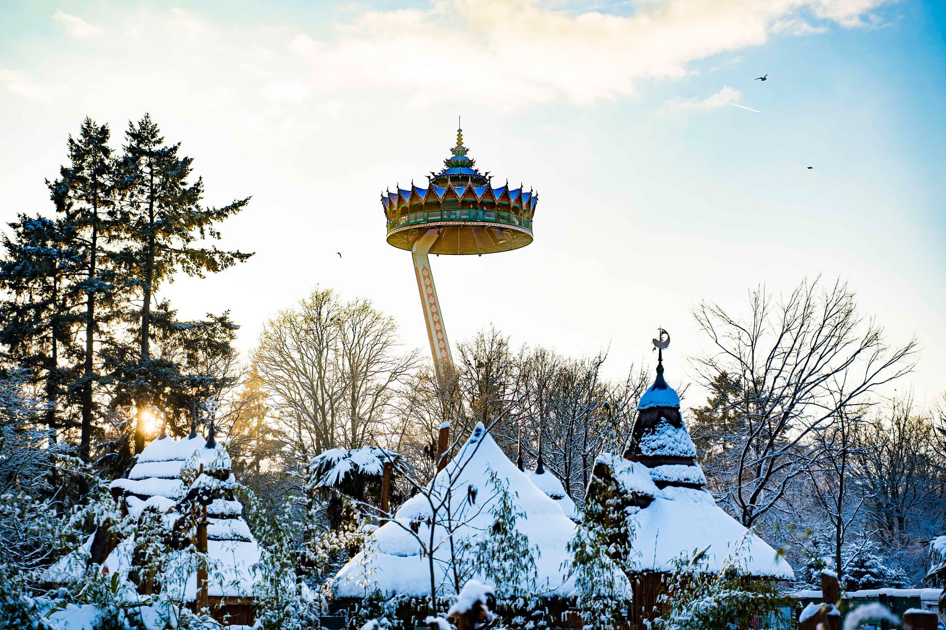 Efteling attractie winter fotografie